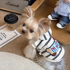 條紋貓咪狗狗連帽衛衣 秋冬寵物服飾 防掉毛設計, 杏色條紋,XL, 1個