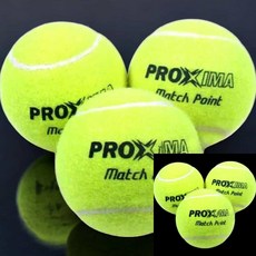 연습용 테니스공 3개입 운동 액티브한 재미있는운동 커플운동