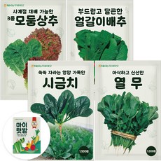 농우바이오 시금치 엇갈이배추 열무 3종혼합상추 채소씨앗 4종, 1개