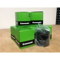 KAWASAKI 原廠油芯 16097-0552 機油濾心, 1個
