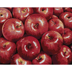 모모픽스페인팅 DIY명화그리기 60x75cm, WK09 홍사과