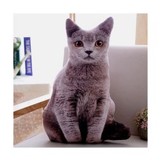 리얼 고양이 인형 바디필로우 재밌는 킹받는 마니또 생일 쓸모없는 웃긴선물