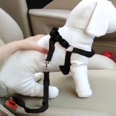 반려동물 안전벨트 강아지외출용품 애견차량용품 애견야외용품