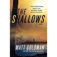 (영문도서) The Shallows: A Nils Shapiro Novel Paperback, Forge, English, 9781250323682