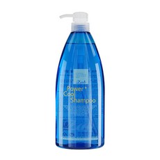 모나리자 자브 파워 플러스 쿨 샴푸, 본상품, 1개, 1L