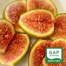 [새벽수확]영암 꿀당도 무화과 농장직송, 1박스, 청 무화과 2.2kg (4팩 28~40과)