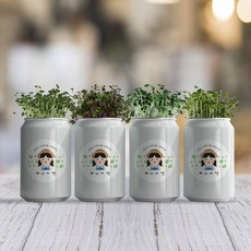 퍼니어캔 아이와 함께 새싹 키우기, 다채, 1개