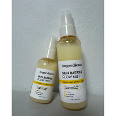 온그리디언츠 스킨 베리어 속광 미스트 (50 ml 증정 포함), 2개, 100ml
