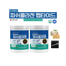 초저분자 피쉬콜라겐 펩타이드 분말 먹는 콜라겐 HACCP 인증제품 백세식품 500g통, 500g, 2개