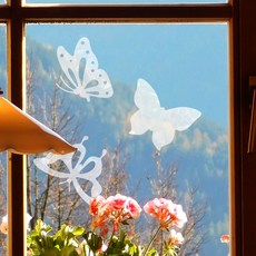 썬 캐쳐 버드 세이버 나비