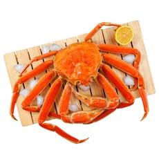 수율80% 전청 마가단 자숙 박달대게, 1개, 3kg