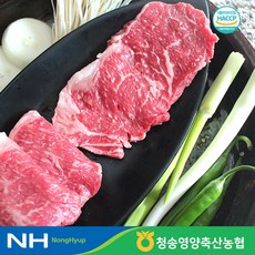 청송영양축협 1등급 명품 한우 채끝 300g, 단품, 1개