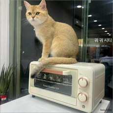 미니 메이크업 브러시 도구 캐비닛 미용실, D_신형 UV + 건조 내부 선반 + 트레이
