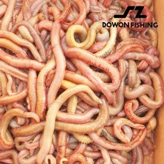 도원피싱 비만통통 혼무시 50g 국산 참갯지렁이 바다낚시 원투낚시, 1개