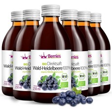 사워체리 주스 6개입 Sauerkirschsaft 6er Pack (6x250ml) purer Sauerkirsche Direktsaft 100%, 블루베리 주스, 250ml (6개입), 250ml