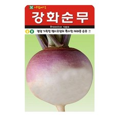 강화순무 씨앗 무우 씨 무씨 종자