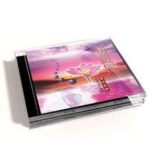 新韻傳音 楞嚴咒 國語教學CD - 日道法師 教念 MSPCD-803