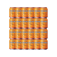 수정과캔x, 238ml, 1개