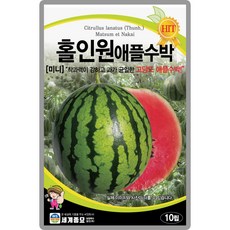 홀인원 애플수박 씨앗 10립 소과종 미니 수박씨 수박씨앗 미니수박 수박종자 세계종묘, 4개
