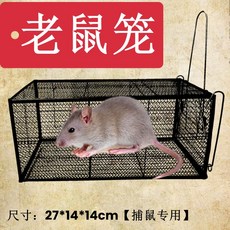 4號超靈敏貓籠 全自動 救助籠, 1個, 捕貓籠（27*14*14）抓約0.5公斤, N/A