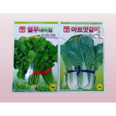 열무씨앗 엇갈이씨앗 종자 텃밭 맛좋은 주말농장 맛있는 열무 엇갈이 2세트 1개