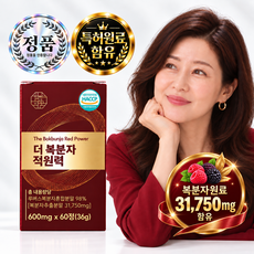 루버스 더 복분자 적원력 종자유지 오일 분말 식약청 HACCP 인증 시설 100% 정품, 1개, 60정