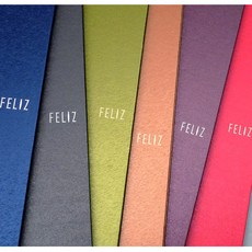 [꿈드림22] 펠리즈파일 펄 A3 20매 클리어화일 도면파일 설계도화일 포스터정리 포토펄리오 브로마이더 속지추가가능 FELIZ FECF30 6color 10.0, 적색, 1개