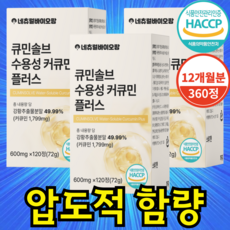 네츄럴바이오팜 강황 수용성 커큐민 식약청 HACCP 인증 100% 600mg, 3개, 120정
