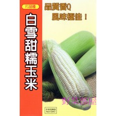 【野菜部屋】白雪甜糯玉米種子 F1品種 品質香Q 風味極佳 Non-GMO, 1包