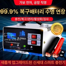 배터리 복원기 차량 충전기 방전 24v 12v 재생기 펄스 이동형, 고출력 충전 빠른 배터리 활성화, 1mAh, 1개