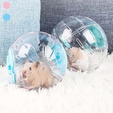 키밍 햄스터 헬스볼 장난감 운동볼 투명 놀리터, 12.5cm, 12.5cm_블루