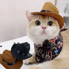 반려동물 카우보이 모자 펫용품, 블랙