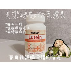 Meles美樂斯 狗用葉黃素 魚油 Q10 DHA 益生菌 水蛭素配方 犬貓適用, 1個, 雙歧桿菌500億 30顆,完整效期（一年到兩年以上）