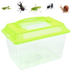 김조팸 채집통 중형 도마뱀