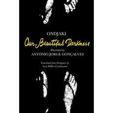 (영문도서) Our Beautiful Darkness Hardcover, Unruly/Enchanted Lion, English, 9781592704101