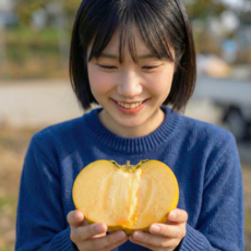 [백화점 납품용] 초고당도 진영 경남 단감, 1박스, 5kg 24~26개 중과
