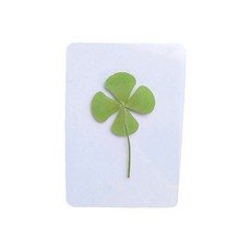 네잎클로버 압화 꽃 책갈피 코팅 카드, 클로버 074980CM