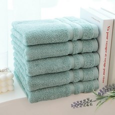 쉬라즈 더블보더 40수 170g 호텔수건, 코랄민트, 5개