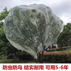 防鳥網 果樹網 蔬菜網 家用網套 防果蠅