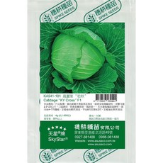 天星牌 SkyStar 高麗菜 “初秋” F1 種子，四季皆宜，鮮甜清脆，新手易種植，家庭園藝首選, 約1,000粒