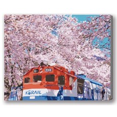 MANTO 台灣原創 大尺寸DIY數字油畫 50x65cm 釘好內框 櫻見首爾 韓國風景 月影花蹤系列 初學者專用, 鎮海櫻花季, 1套