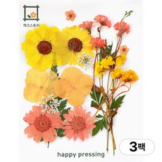 체크스토리 압화 컬러가든시리즈 누름꽃 꽃송이 압화재료 공예, 오렌지16(3팩), 오렌지