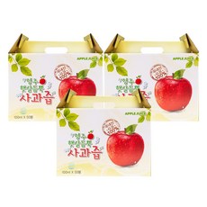 영주 햇살듬뿍 사과즙+6포 추가 증정, 100ml