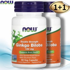 나우 은행나무 추출물 징코 빌로바 120mg 50캡슐 2병 가시오가피