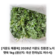 거문도해풍쑥 2026년 거문도 친환경 노지 햇쑥 (원산지: 국산 전라남도 여수시), 1개, 1kg