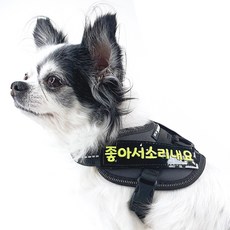 따봉공방 원하는 문구제작 강아지 네임택 벨크로 줄리어스 K9 교체 라벨 폴리스 파워 하네스 패치 이름표 인식표 자수명찰, 1개, 무광블랙원단+화이트글씨