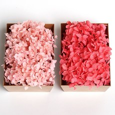 화연양화 톤온톤 박스 수국 2개입 프리저브드플라워 시들지않는생화, 03 피치레드