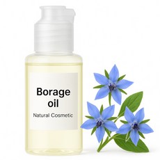 천연화장품재료-보리지오일100%(정제), 1개, 100ml