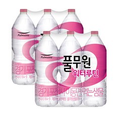 풀무원샘물 워터루틴, 2L, 12개