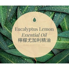 MW精油工坊 檸檬尤加利精油 Eucalyptus Lemon Essential Oil, 1個, 30ml